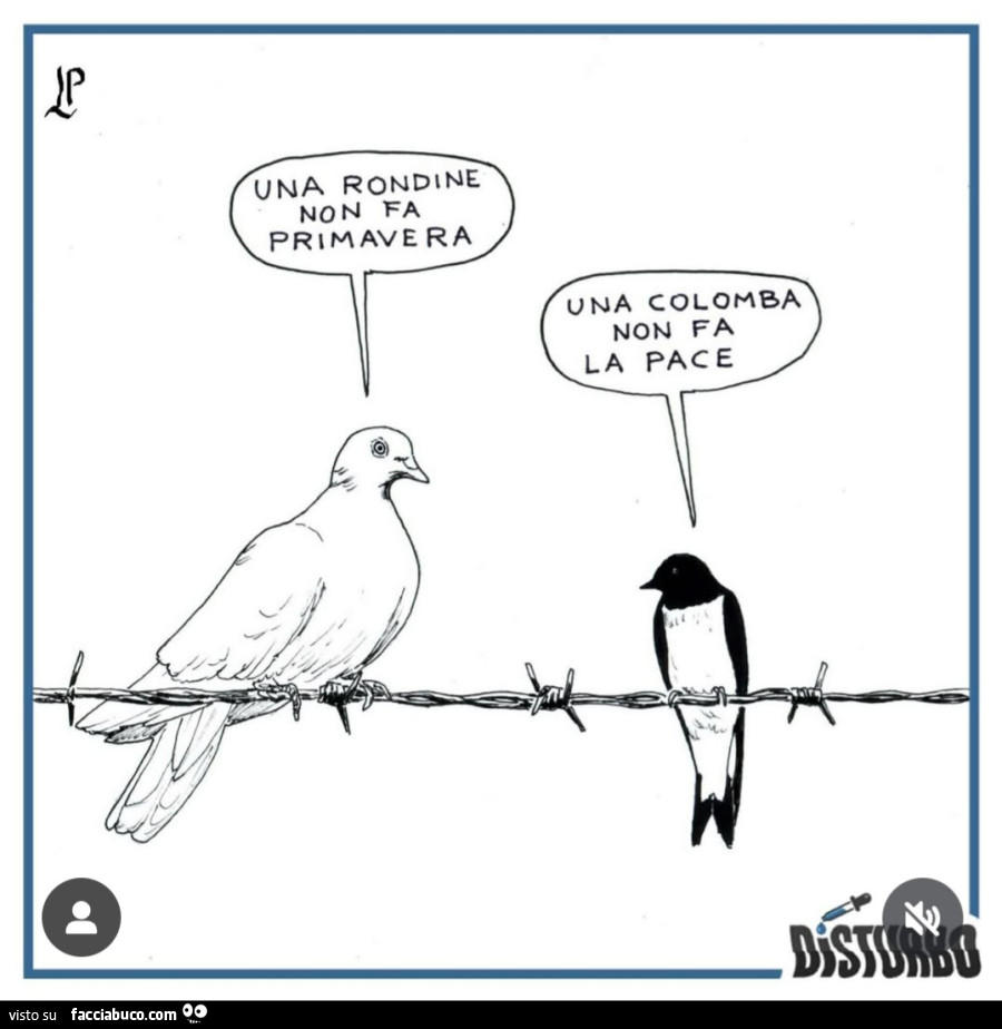 Una rondine non fa primavera. Una colomba non fa la pace
