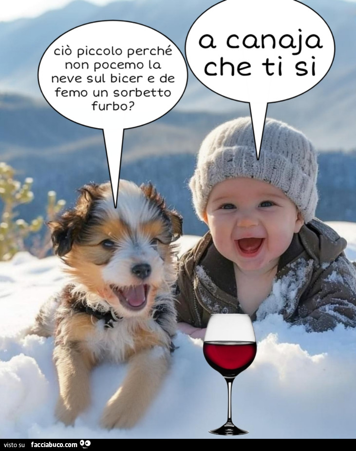 Neve