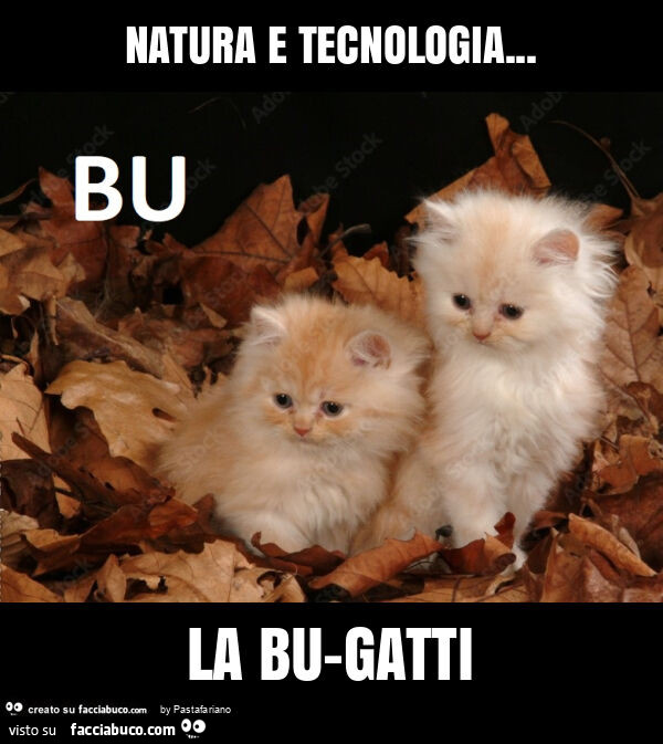 Natura e tecnologia… la bu-gatti