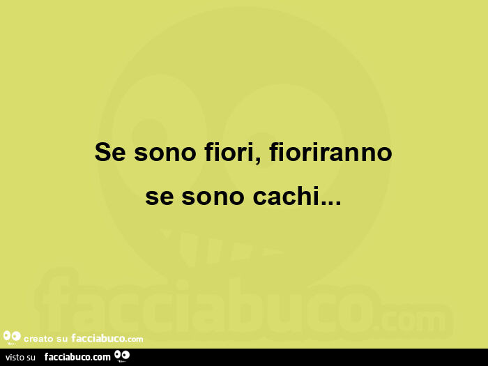 Se sono fiori, fioriranno se sono cachi