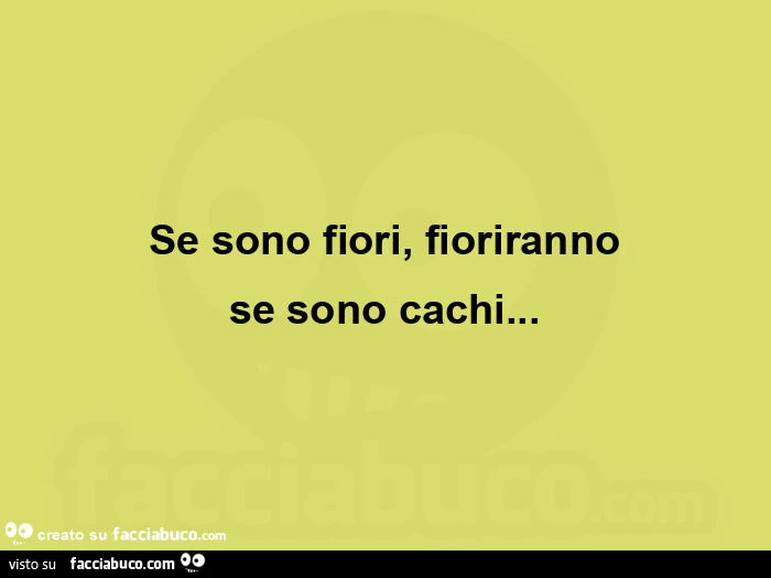 Se sono fiori, fioriranno se sono cachi