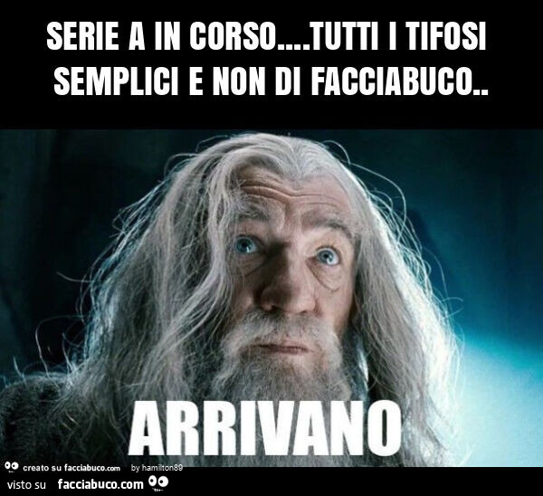 Serie a in corso… tutti i tifosi semplici e non di facciabuco