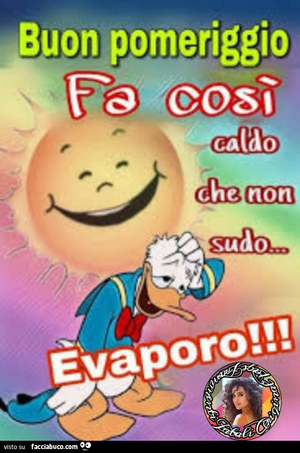 Vaccata