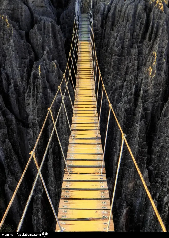 Ponte tibetano