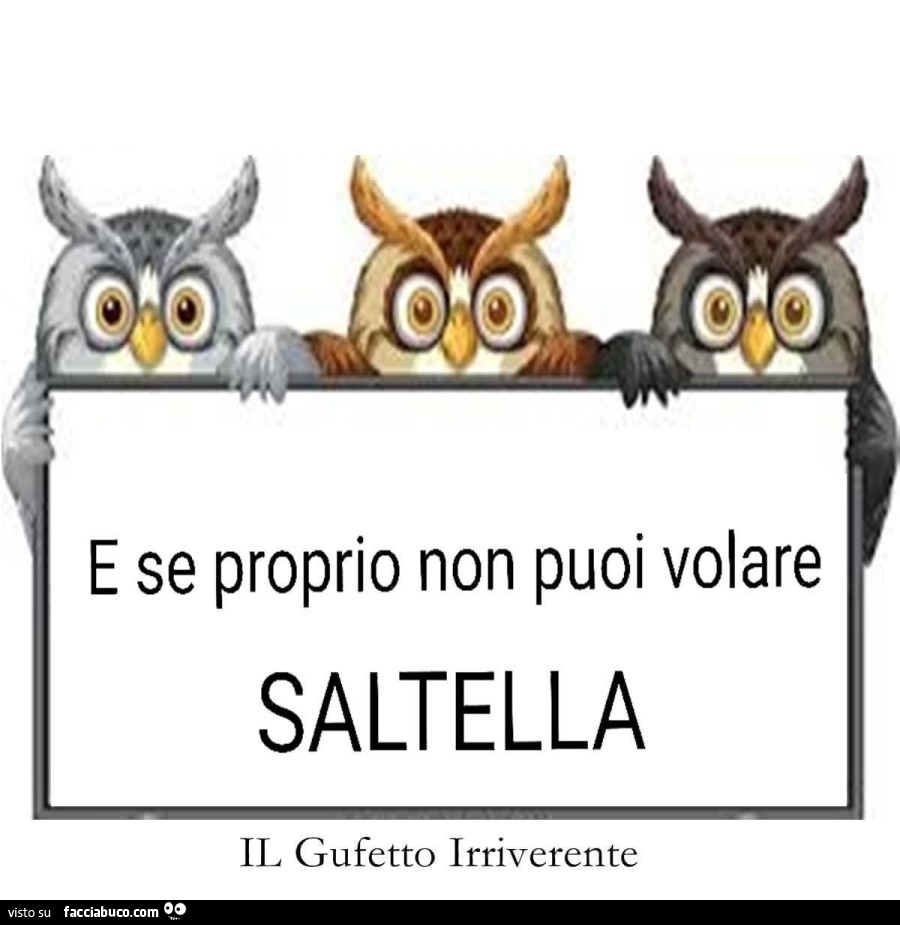 C: oà e se proprio non puoi volare saltella