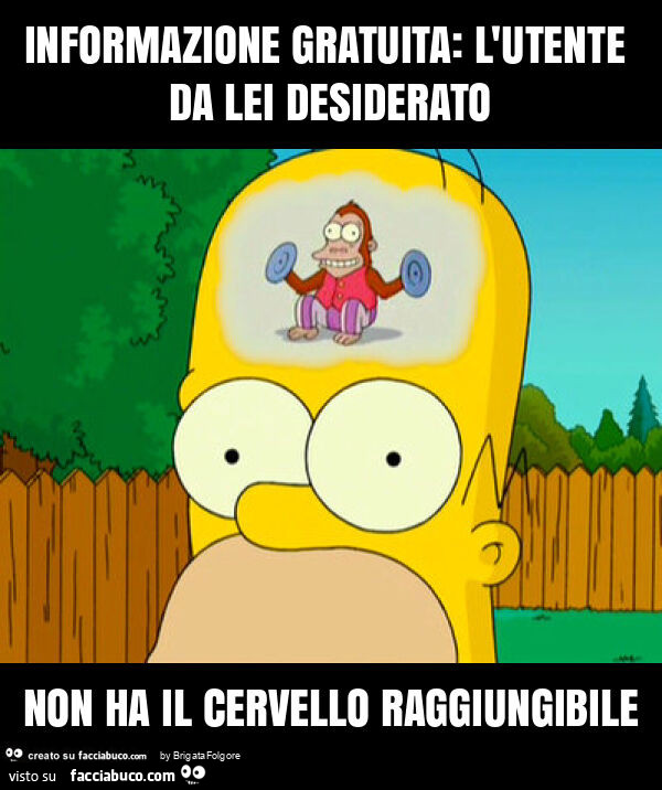 Informazione gratuita: l'utente da lei desiderato non ha il cervello raggiungibile