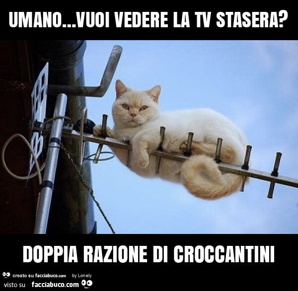 Umano… vuoi vedere la tv stasera? Doppia razione di croccantini