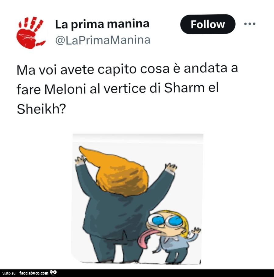Ma voi avete capito cosa è andata a fare meloni al vertice di sharm el sheikh?
