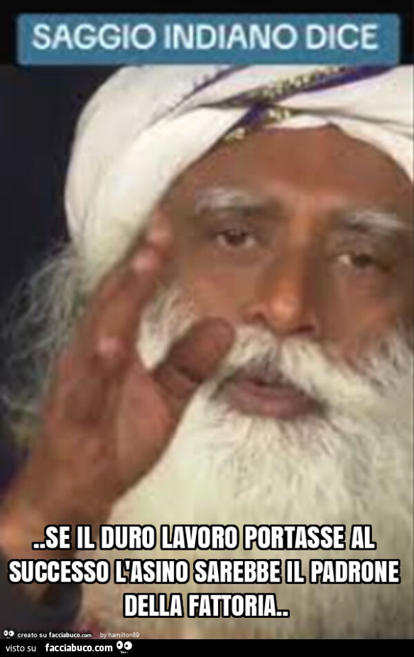 Se il duro lavoro portasse al successo l'asino sarebbe il padrone della fattoria