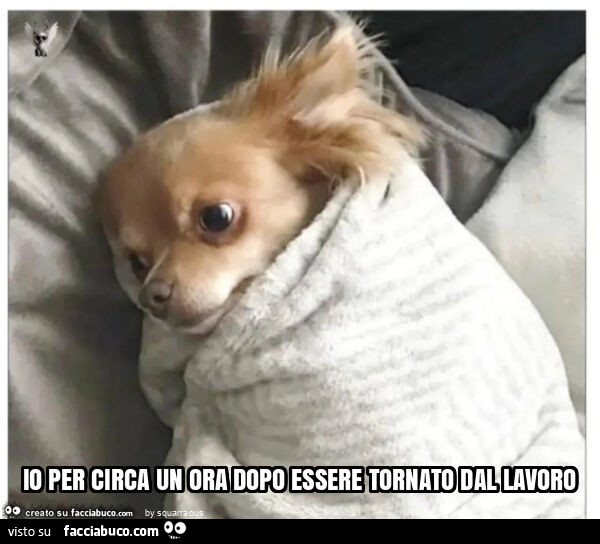 Io per circa un ora dopo essere tornato dal lavoro