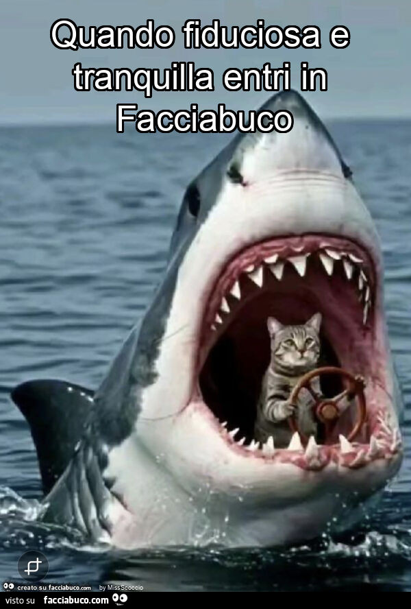 Quando fiduciosa e tranquilla entri in facciabuco