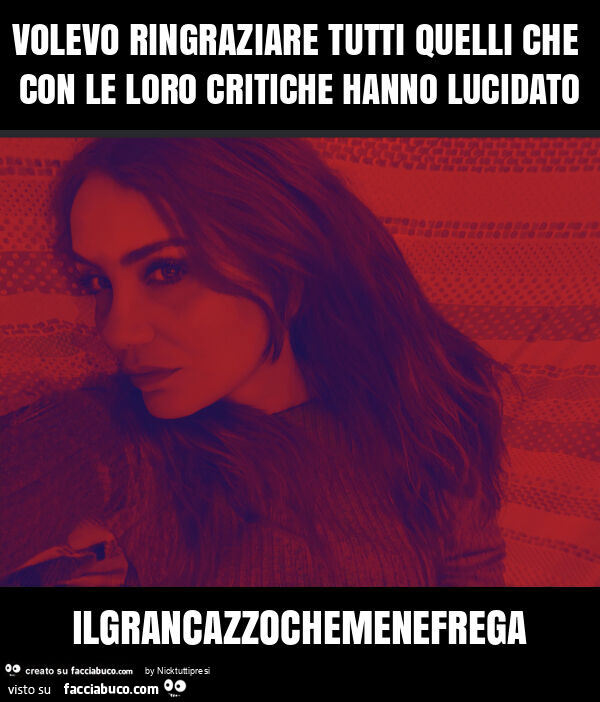 Volevo ringraziare tutti quelli che con le loro critiche hanno lucidato ilgrancazzochemenefrega