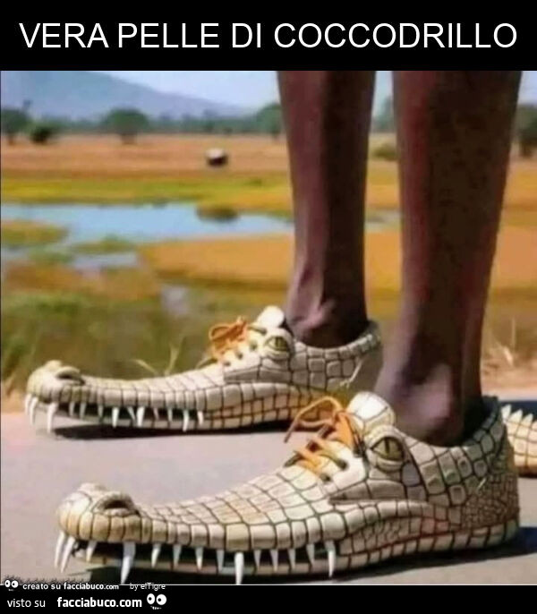 Vera pelle di coccodrillo