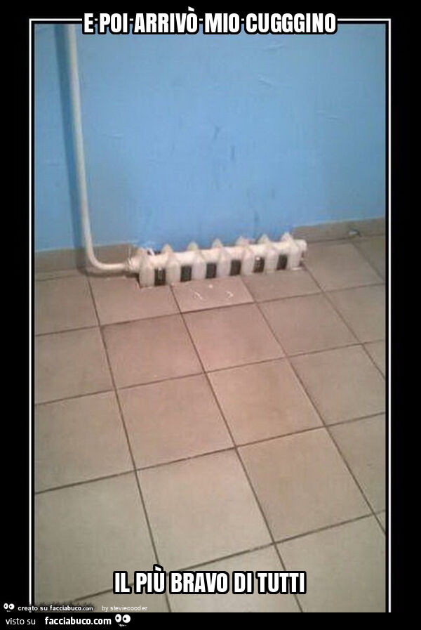 E poi arrivò mio cugggino il più bravo di tutti