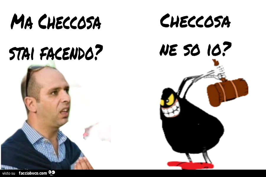 Vaccata