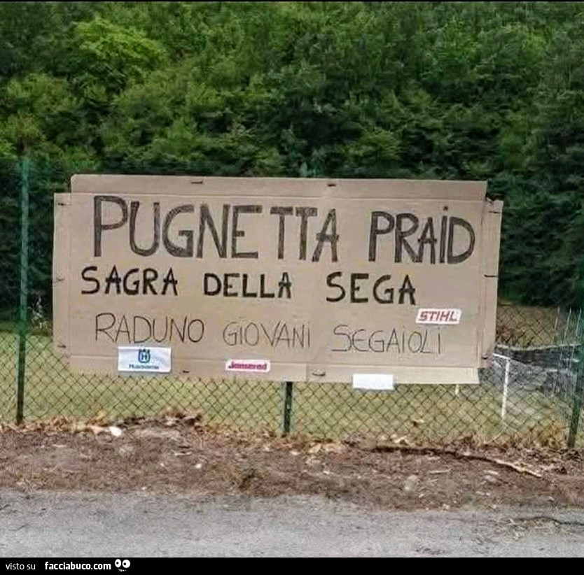 Pugnette