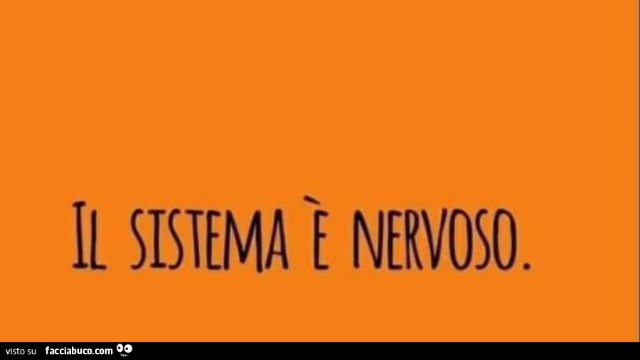 Il sistema è nervoso