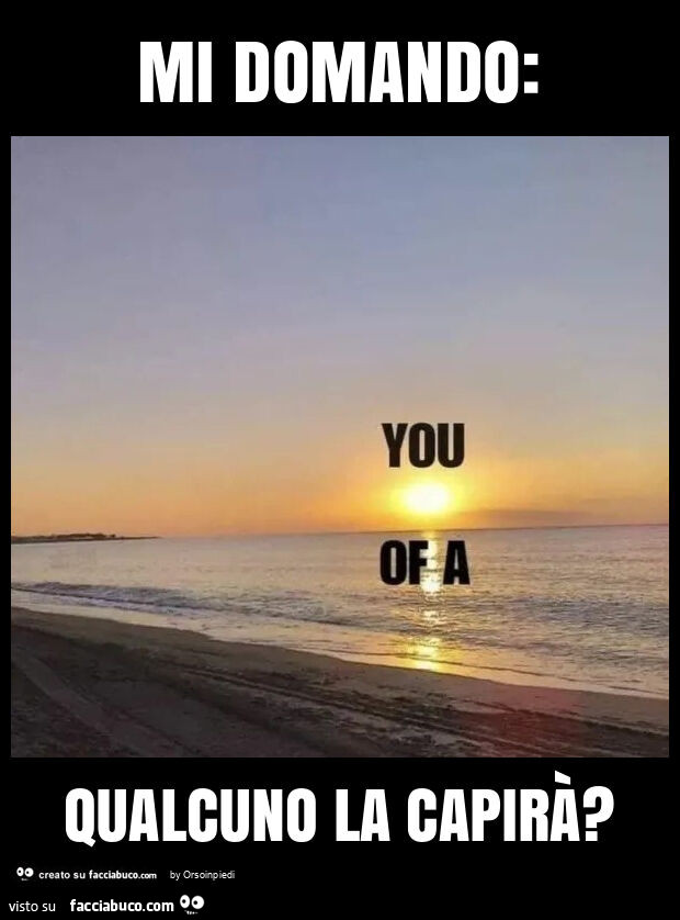 Mi domando: qualcuno la capirà?