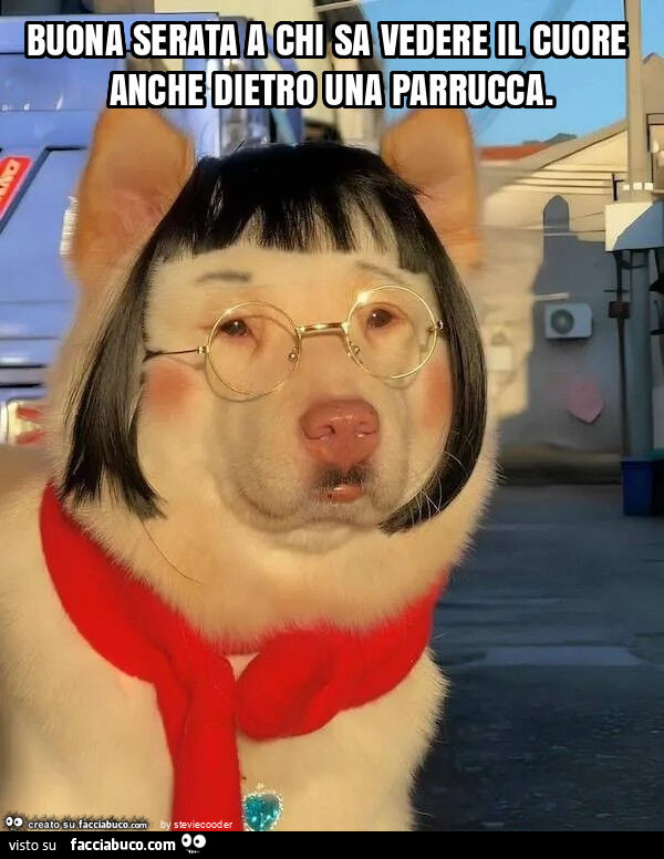 Buona serata a chi sa vedere il cuore anche dietro una parrucca