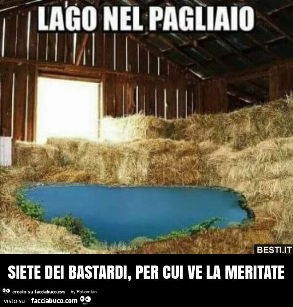 Siete dei bastardi, per cui ve la meritate