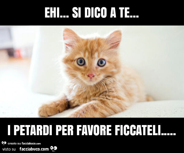 Ehi&hellip; si dico a te&hellip; i petardi per favore ficcateli
