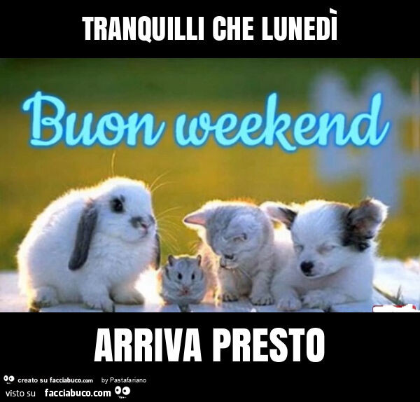 Tranquilli che lunedì arriva presto