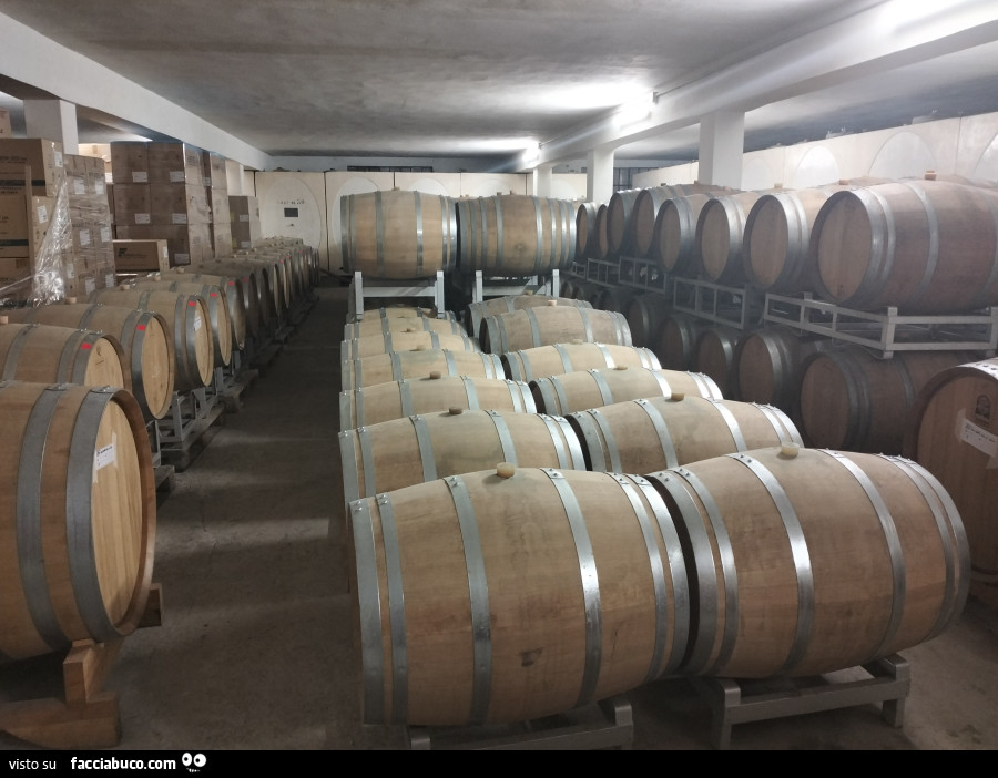 Cantine
