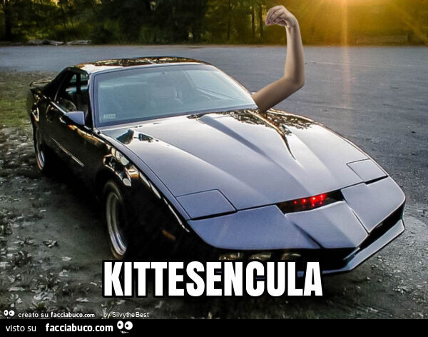 Kittesencula