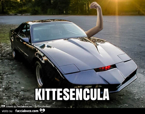 Kittesencula