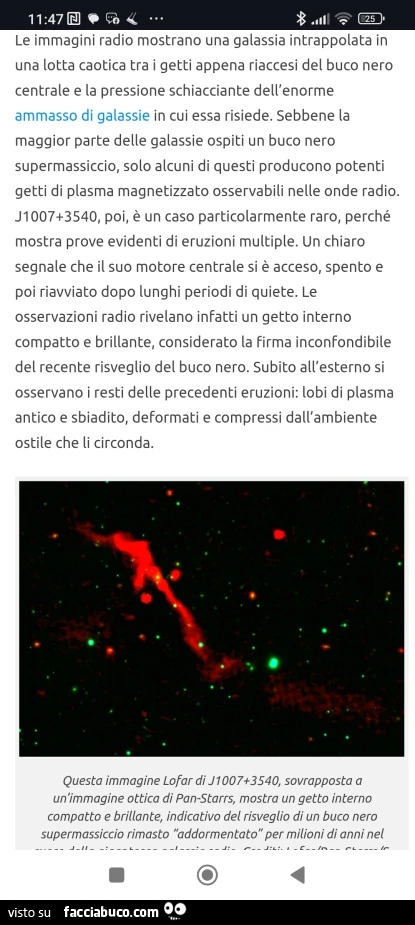 Vaccata