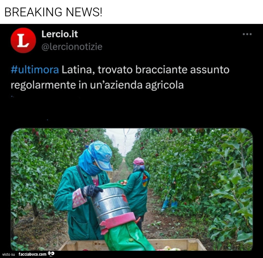 Vaccata