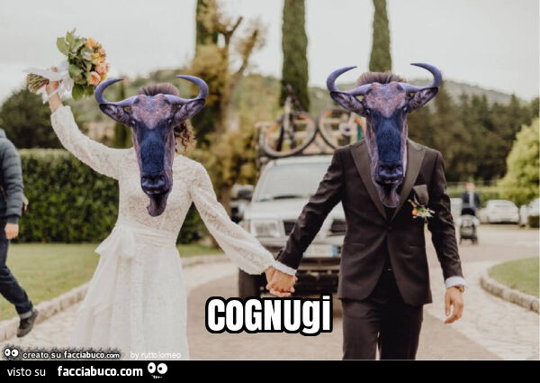 Cognugi