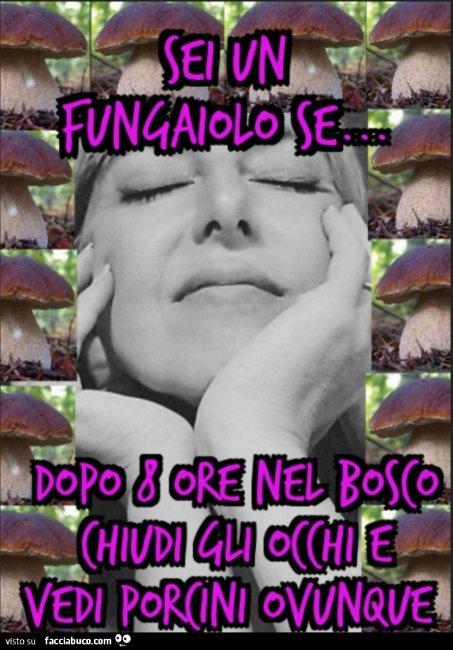 Sei un fungaiolo se dopo 8 ore nel bosco chiudi gli occhi e vedi porcini ovunque