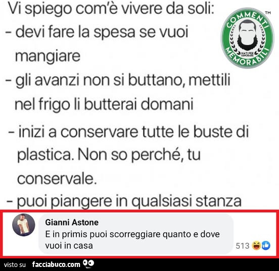 Vi spiego com'รจ vivere da soli: e in primis puoi scorreggiare quanto e dove vuoi in casa