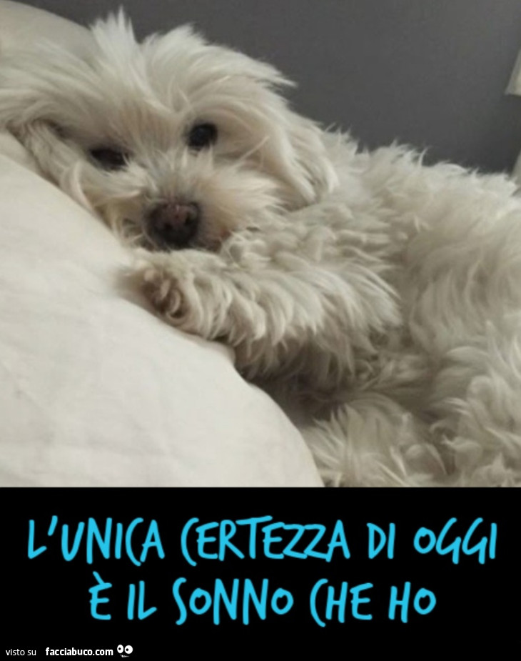 L'unica certezza di oggi è il sonno che ho