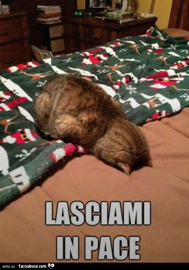 Lasciami in pace