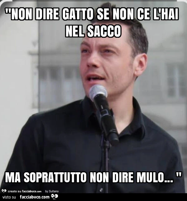 "non dire gatto se non ce l'hai nel sacco ma soprattutto non dire mulo… "