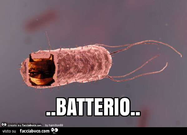 Batterio