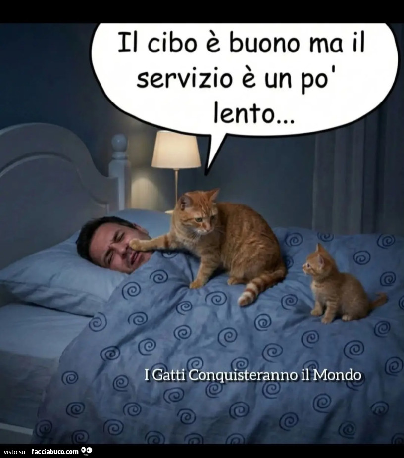 Servizio