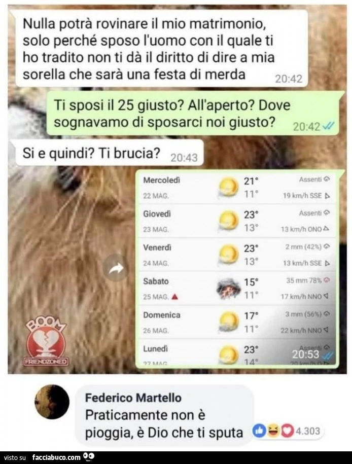 Vaccata