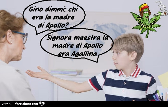 Vaccata