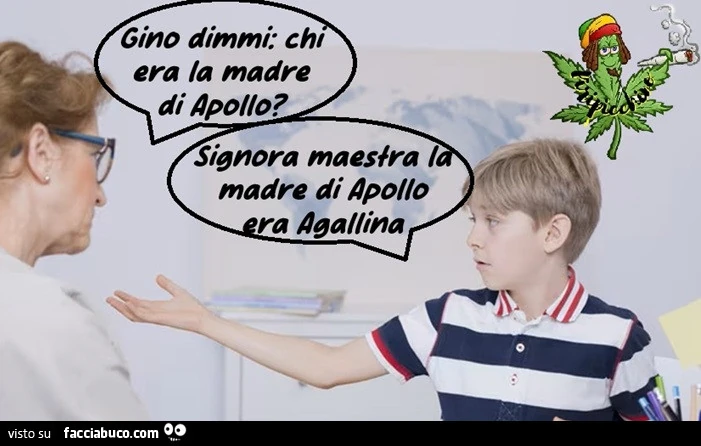 Vaccata