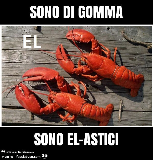 Sono di gomma sono el-astici