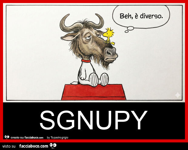 Sgnupy