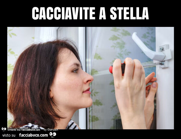 Cacciavite a stella