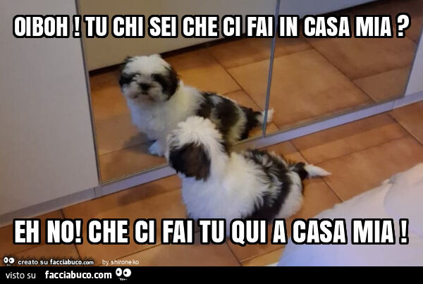 Oiboh! Tu chi sei che ci fai in casa mia? Eh no! Che ci fai tu qui a casa mia
