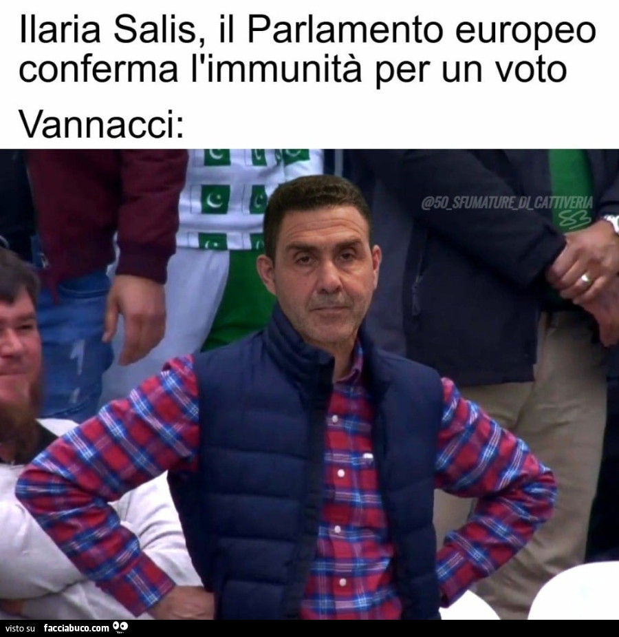 Ilaria Salis, il Parlamento europeo conferma l'immunità per un voto