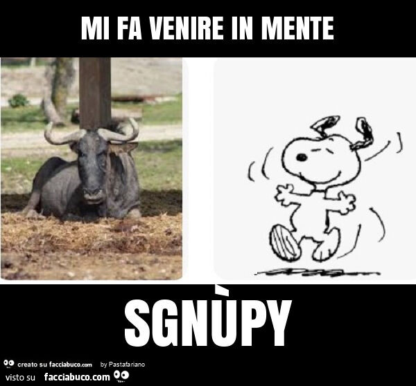 Mi fa venire in mente sgnùpy