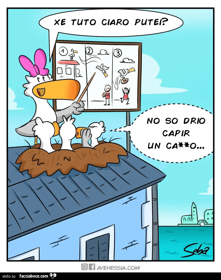 Vaccata