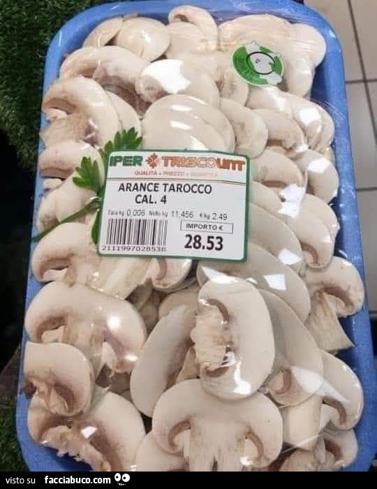 Vaccata